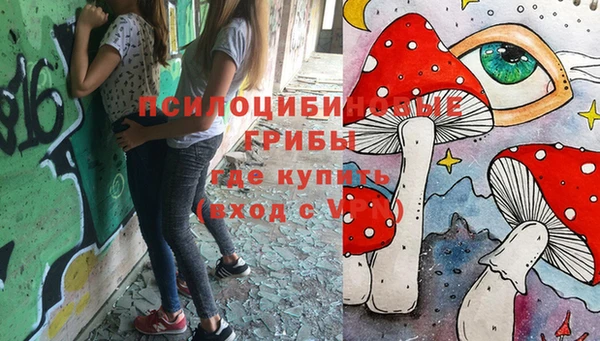 PSILOCYBIN Пересвет