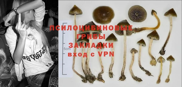 мяу мяу кристалл Арсеньев
