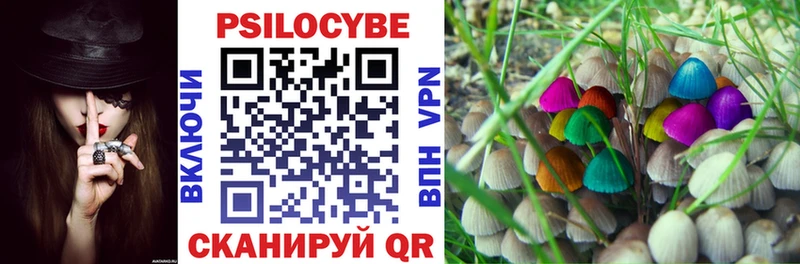 блэк спрут как зайти  Старый Крым  Псилоцибиновые грибы Magic Shrooms 
