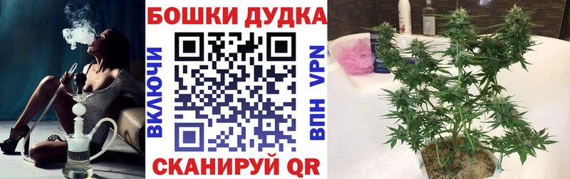 Шишки марихуана гибрид  где найти наркотики  Старый Крым 